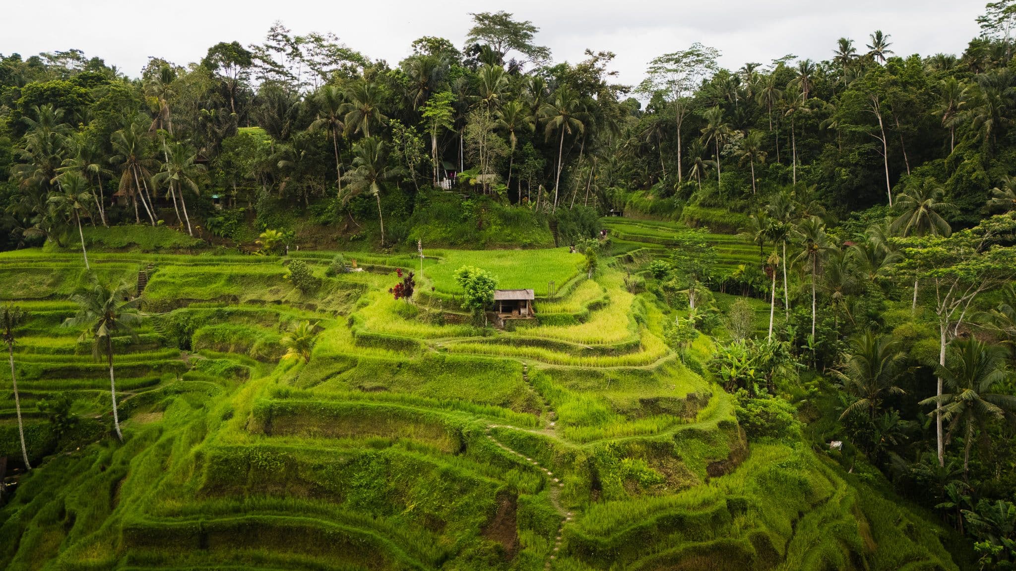 DJI_20260516123401_0182_D