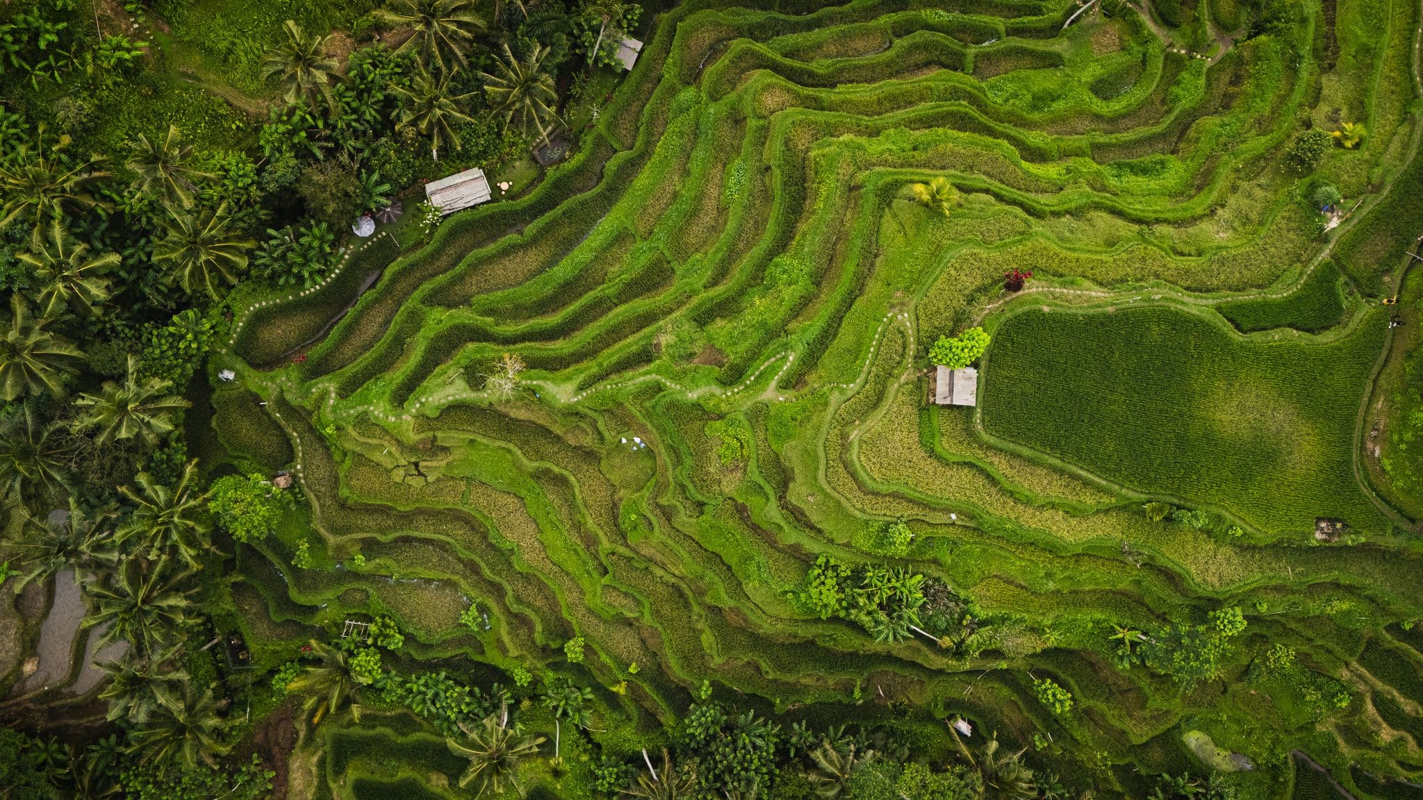 DJI_20260516123218_0178_D-2